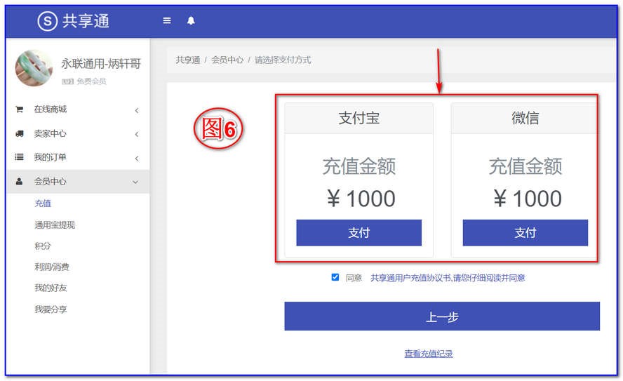 如上圖6，選擇你要充值的方式：微信或支付寶。之后就按提示完成你的充值，就可以回去購買(mǎi)。